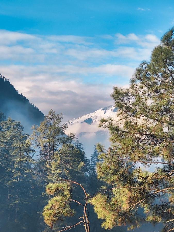 Free Culture, Chalal Panzió Kasol Kültér fotó